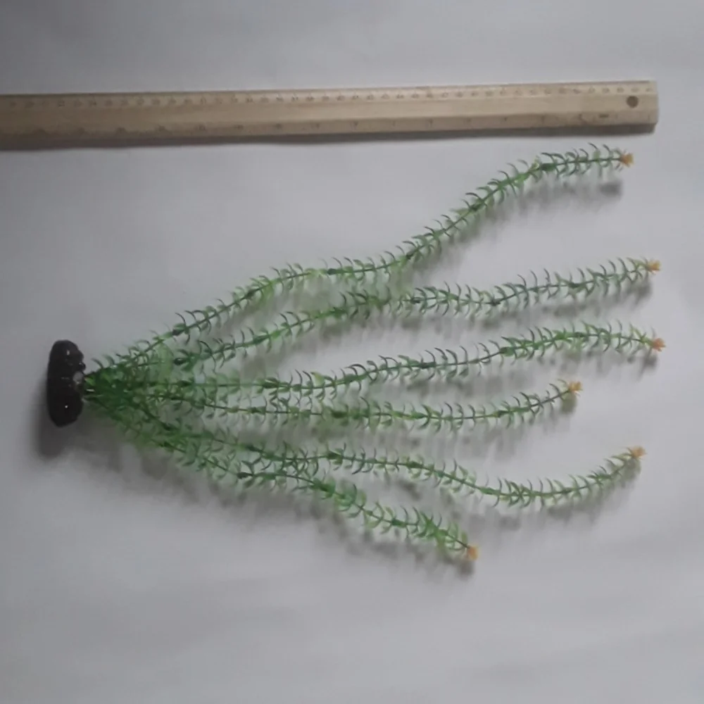 Aquarium Plant (about 16in)